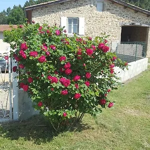 https://studio-au-cur-de-la-nature.hotels-rhonealpes.com